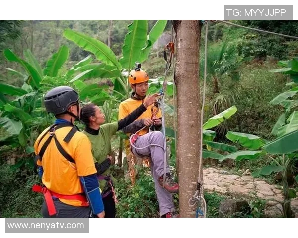 成都攀岩队的节奏打法深度解析与战术应用探讨